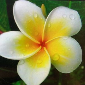 Meet your Posher, PhotoRounds!